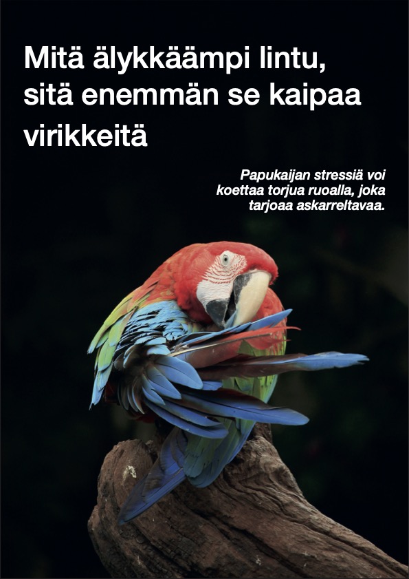 Lehtitaitto lintu
